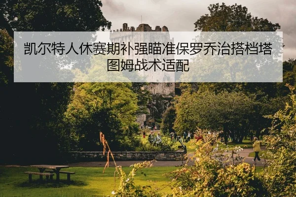 kai-er-te-ren-xiu-sai-qi-bu-qiang-miao-zhun-bao-luo-qiao-zhi-da-dang-ta-tu-mu-zhan-shu-shi-pei-2-313.jpg